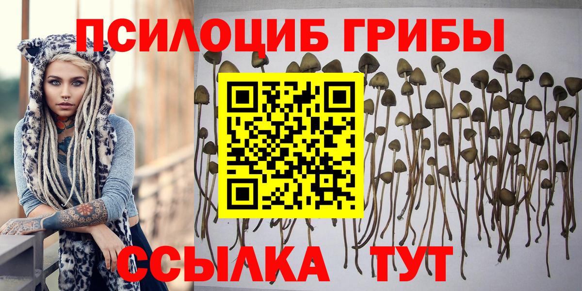 Галлюциногенные грибы GOLDEN TEACHER  Вход с VPN  Пенза 