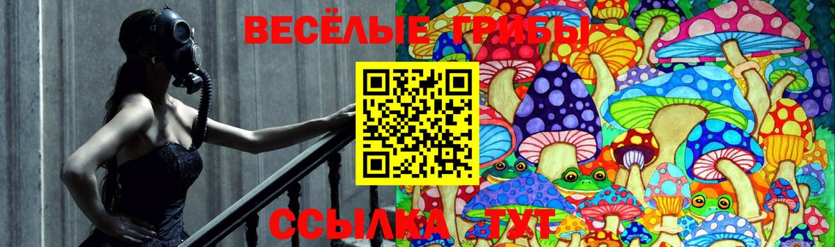 Галлюциногенные грибы мицелий Пенза